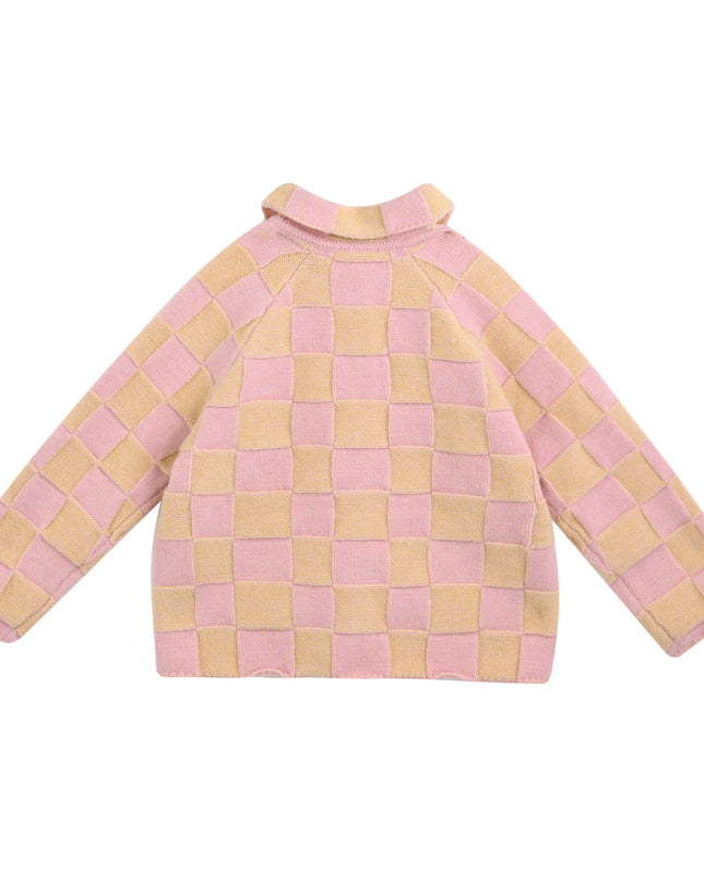 kids atelier sweet cactus Pink Checkered Jacket & Tulle Skirt Set