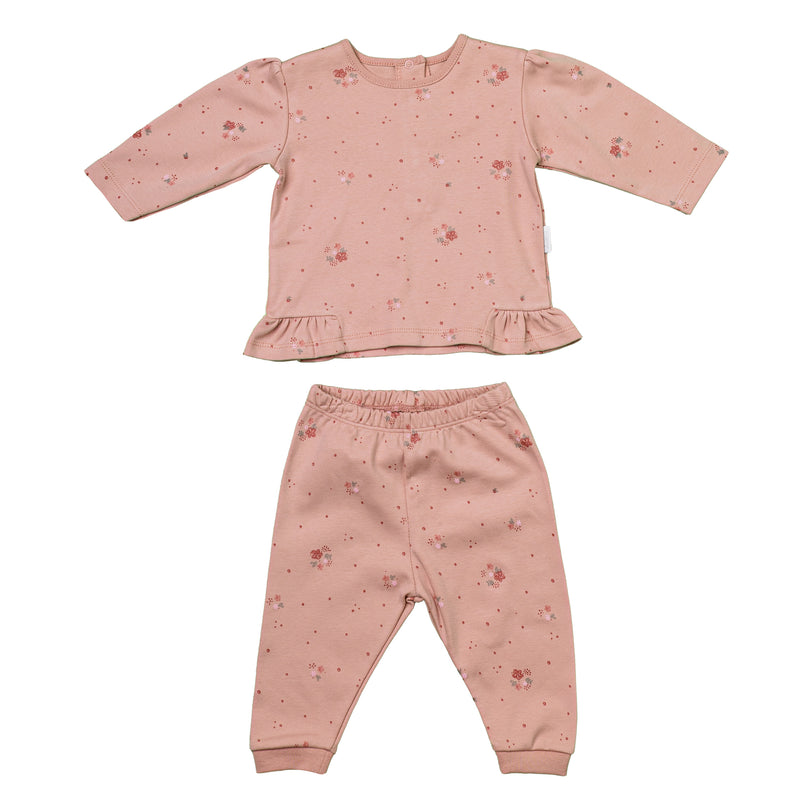 Andywawa-AC24365-OLD ROSE-2 PCS SET