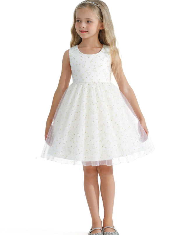 tulleen-bt5201-floral-baby-dress