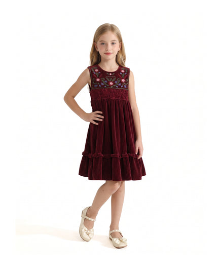 kids atelier tulleen Red Damaris Velvet Embroidered Dress