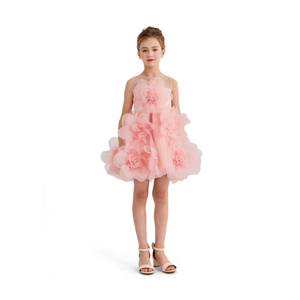 kids atelier tulleen Rose Briellea Embellished Sleeveless Dress