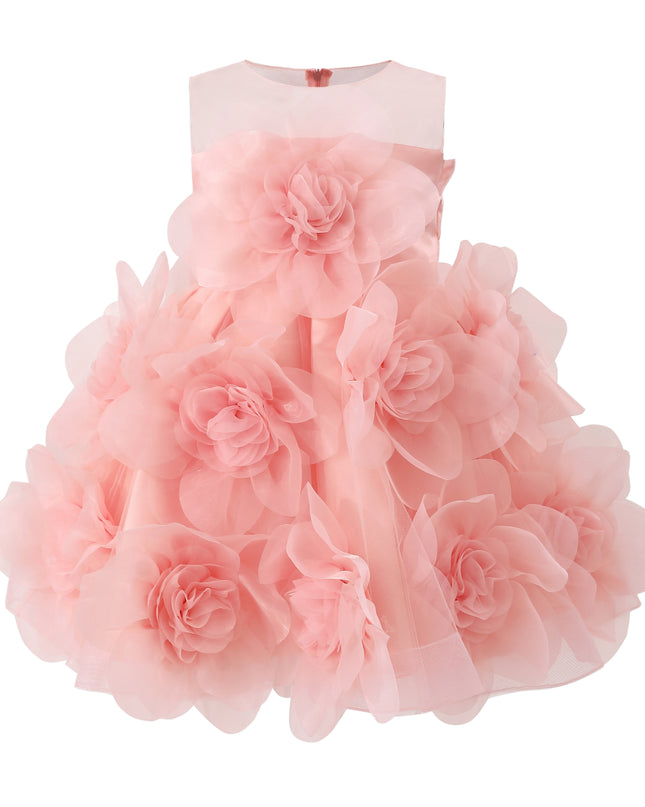 kids atelier tulleen Rose Briellea Embellished Sleeveless Dress