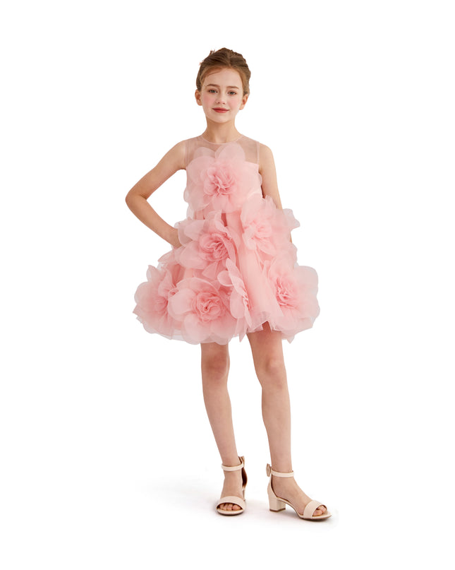 kids atelier tulleen Rose Briellea Embellished Sleeveless Dress