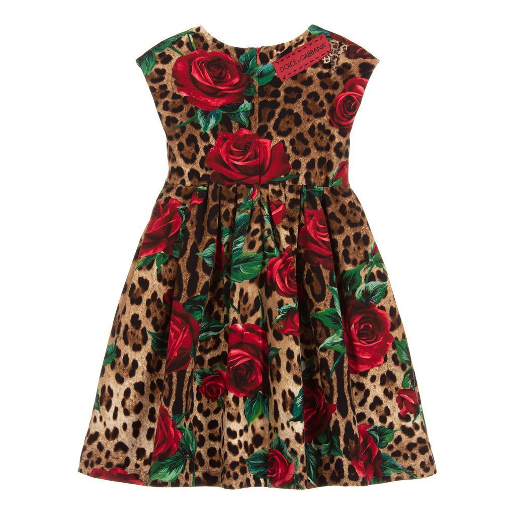 dolce-gabbana-leopard-rose-print-short-sleeve-dress-l5jd0j-fsgpe-hkirs