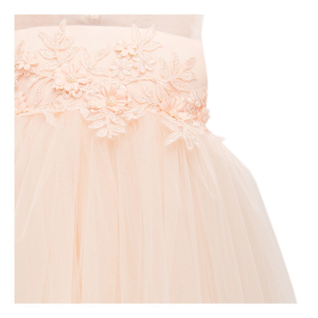 Rose Esterlee Sleeveless Floral Tulle Dress