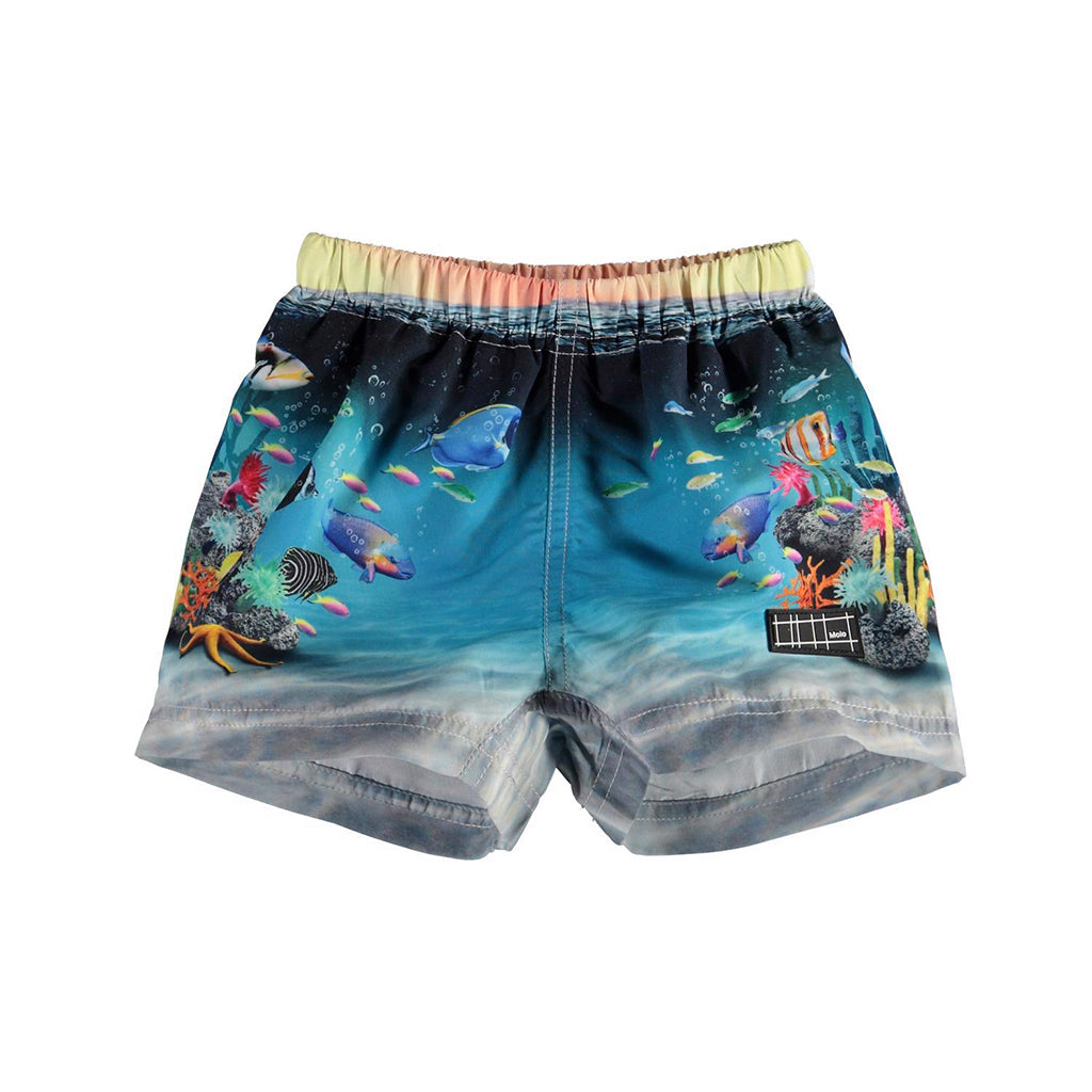 kids-atelier-molo-baby-boy-happy-baby-fish-shorts-8s22p303-7584