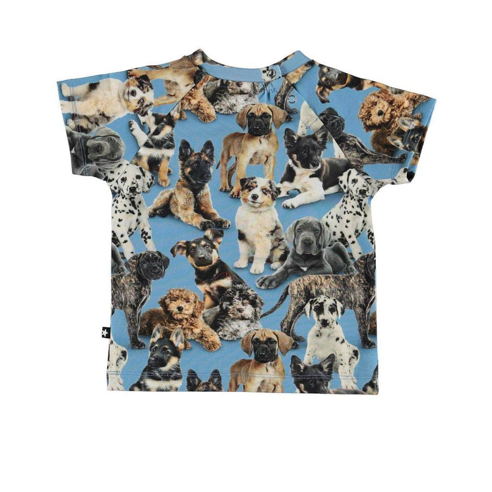 kids-atelier-molo-children-boy-puppy-t-shirt-3s22a207-6462-pups