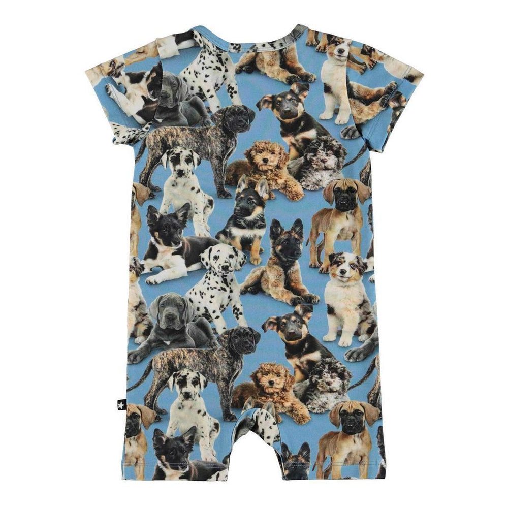 kids-atelier-molo-children-boy-blue-puppy-bodysuit-3s22b403-6462-pups