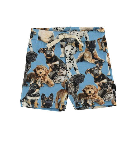 kids-atelier-molo-children-boy-blue-puppy-shorts-3s22h104-6462-pups