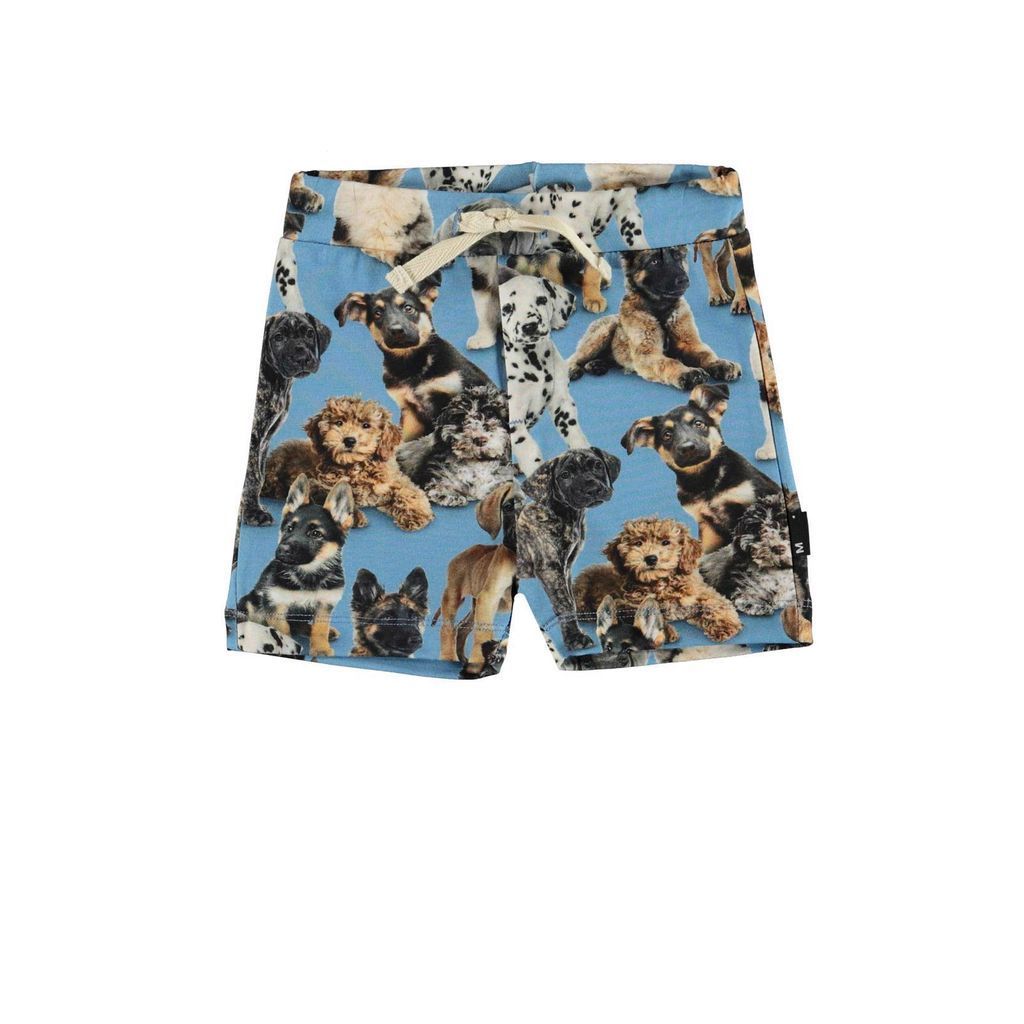 kids-atelier-molo-children-boy-blue-puppy-shorts-3s22h104-6462-pups
