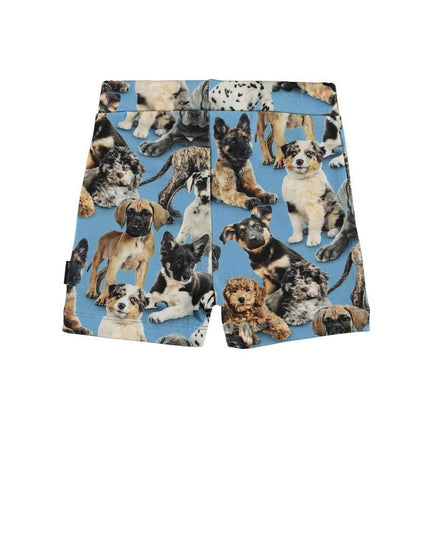 kids-atelier-molo-children-boy-blue-puppy-shorts-3s22h104-6462-pups