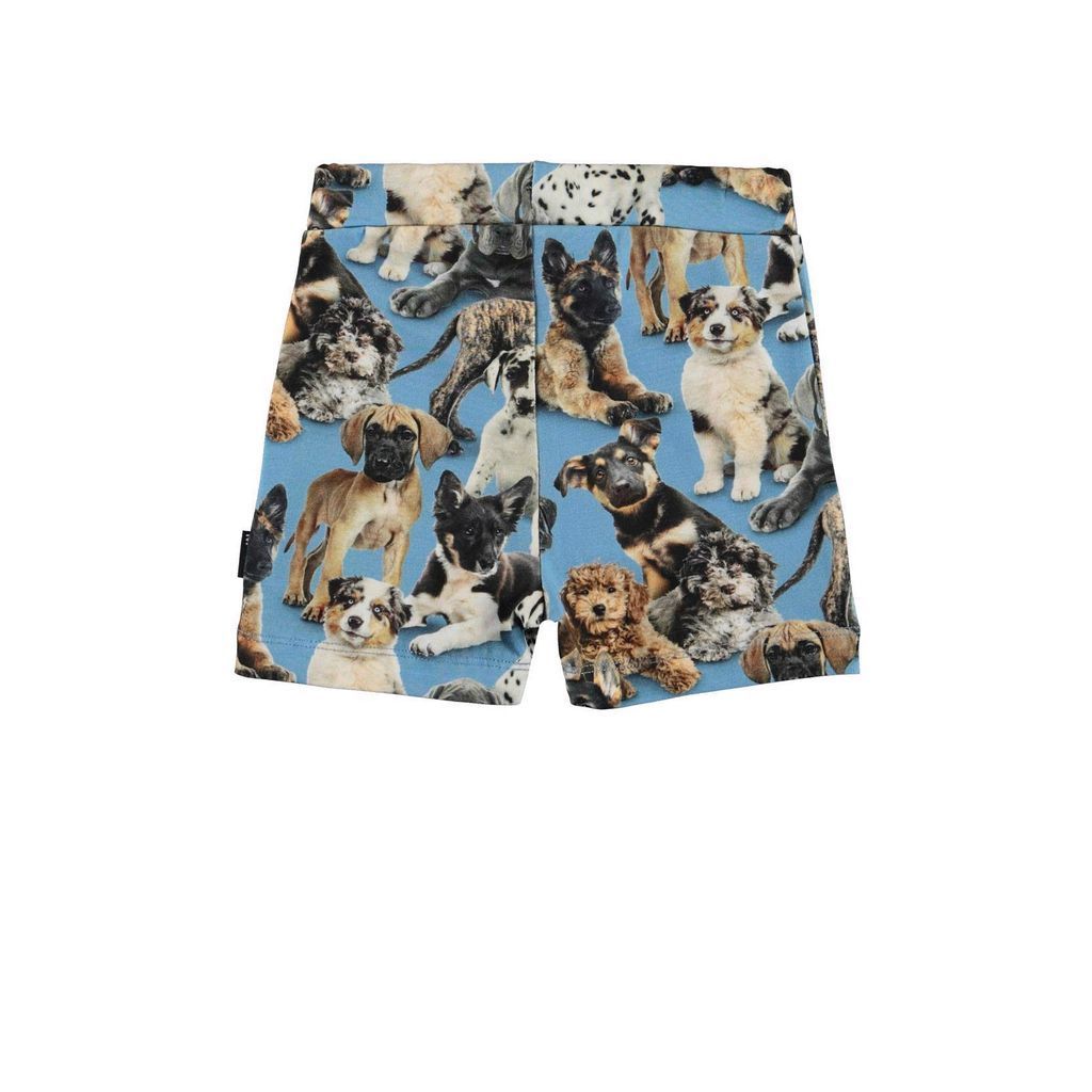 kids-atelier-molo-children-boy-blue-puppy-shorts-3s22h104-6462-pups