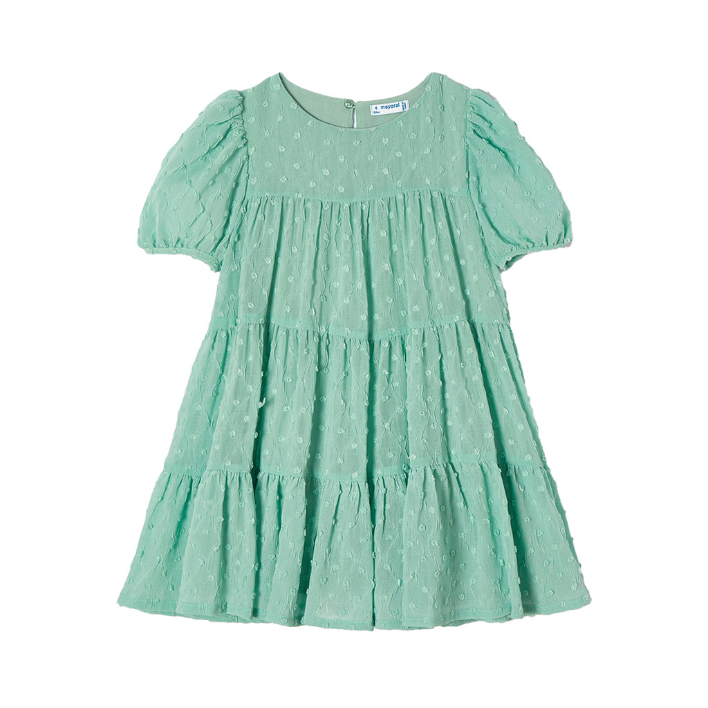 Mint Green Embroidered Chiffon Dress