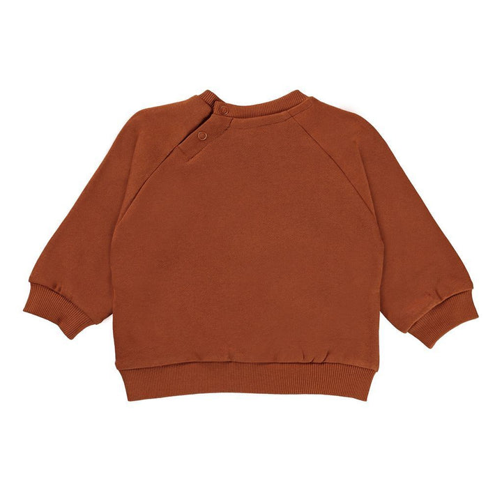 kids-atelier-molo-baby-boy-brown-disc-spin-graphic-sweatshirt-3w22j201-7748
