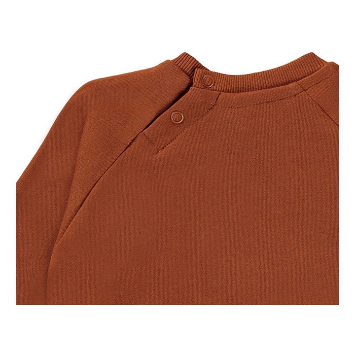 kids-atelier-molo-baby-boy-brown-disc-spin-graphic-sweatshirt-3w22j201-7748