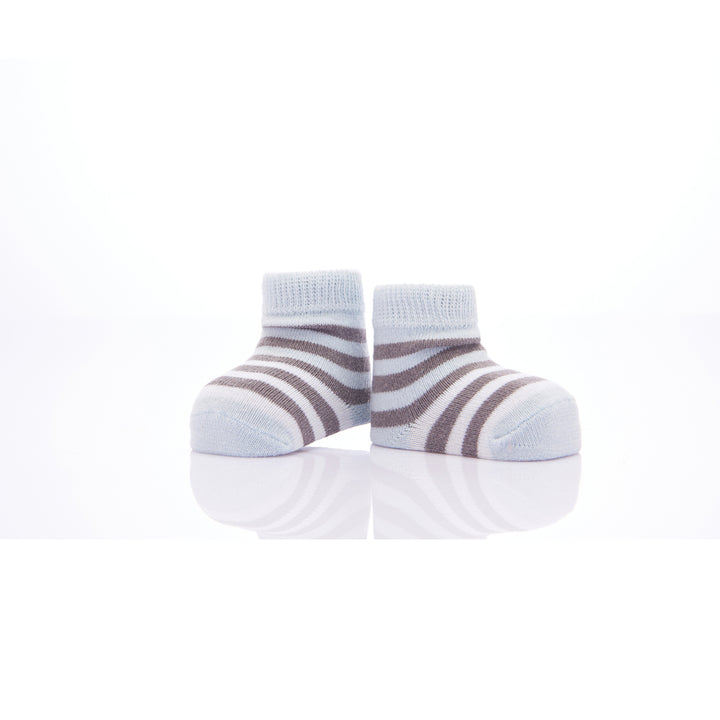 kids-atelier-banblu-baby-boy-blue-3pc-koala-print-cotton-socks-set-15-01-0082