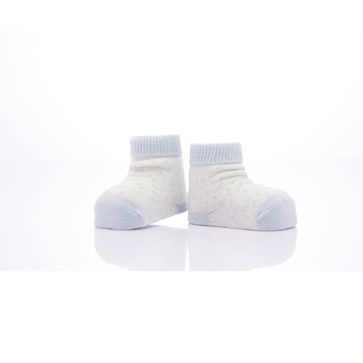 kids-atelier-banblu-baby-boy-blue-3pc-koala-print-cotton-socks-set-15-01-0082