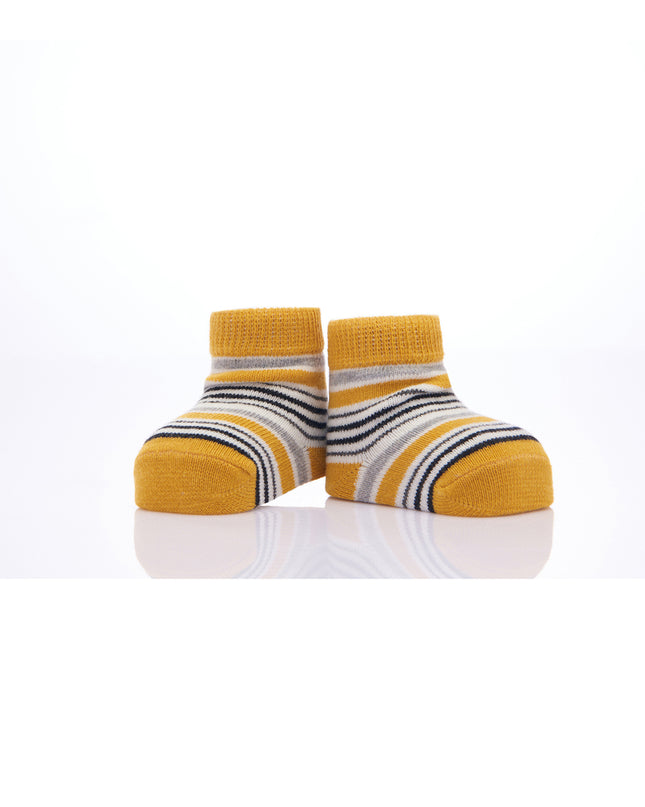 kids-atelier-banblu-gender-neutral-unisex-baby-boy-girl-yellow-3pc-koala-print-cotton-socks-set-15-01-0084