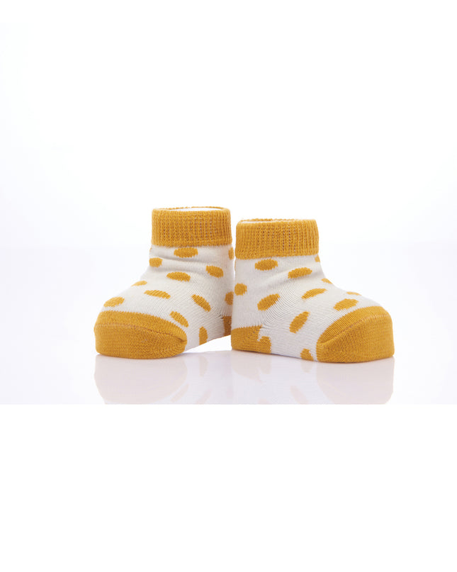 kids-atelier-banblu-gender-neutral-unisex-baby-boy-girl-yellow-3pc-koala-print-cotton-socks-set-15-01-0084
