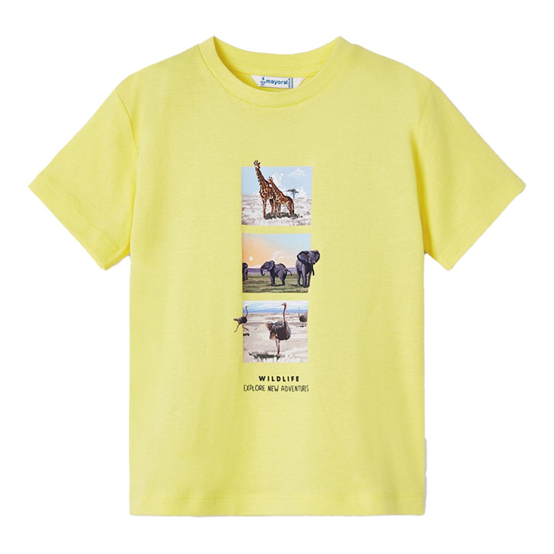 kids-atelier-mayoral-kid-boy-yellow-2pc-animal-graphic-t-shirt-set-3008-31