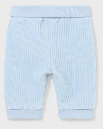 Blue 3pc Teddy Graphic Tracksuit Set