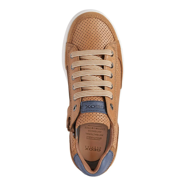 geox-Brown Sneakers-j255vb-0cl22-c6176-Boy