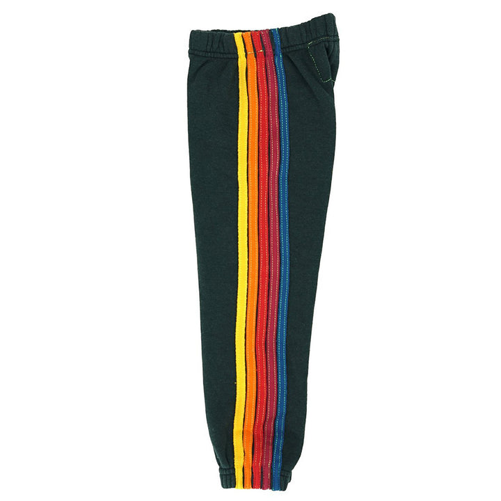 Charcoal Multi-color Stripes Sweatpant