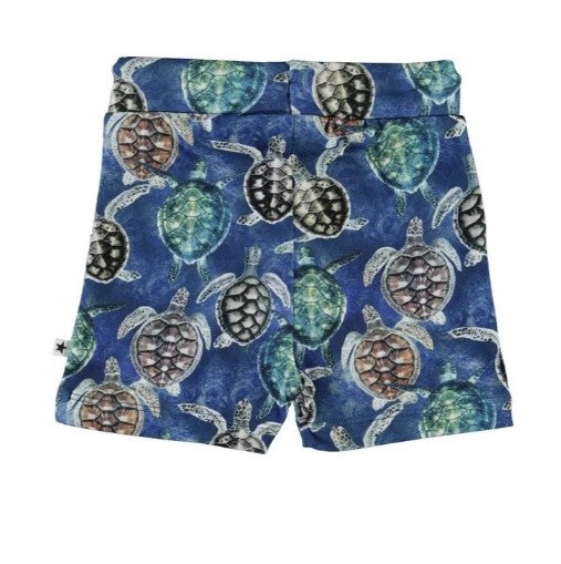 Blue Turtle Print Shorts
