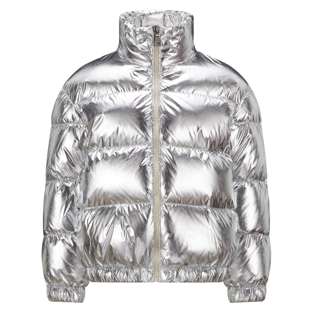 Meuse Metallic Down Jacket in Silver - Moncler