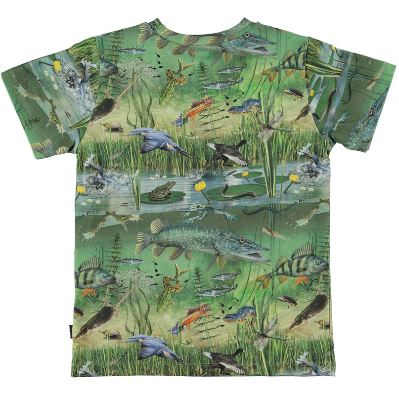 molo-Ralphie Wondrous Pond T-Shirt-1s23a216-6768