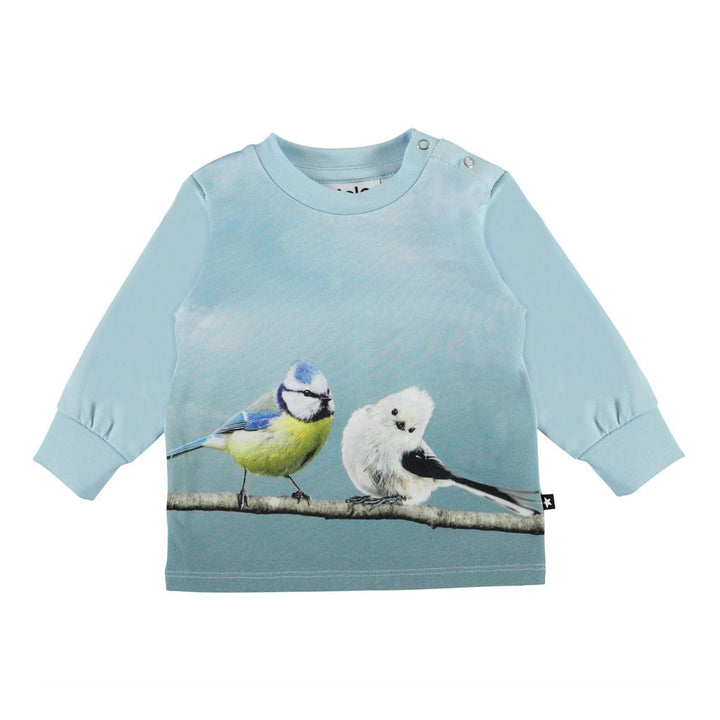 molo-children-baby-boy-blue-bird-friends-t-shirt-3w21a401-7465