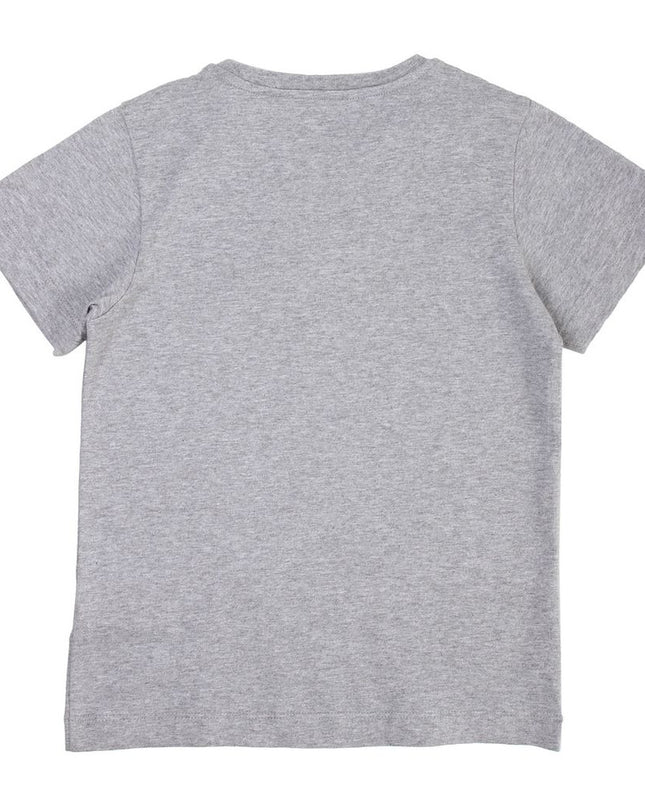 lanvin-Gray Logo T-Shirt-4i8031ib280905