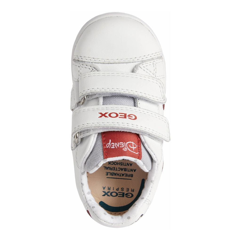 Mf geox new arrivals