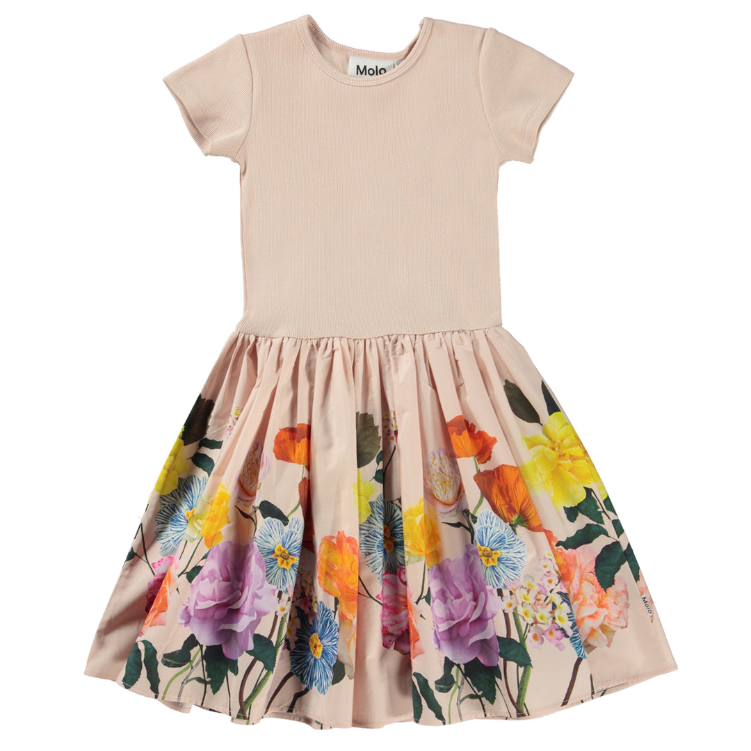 molo-Scent of Roses Cissa Dress-2s23e119-7935