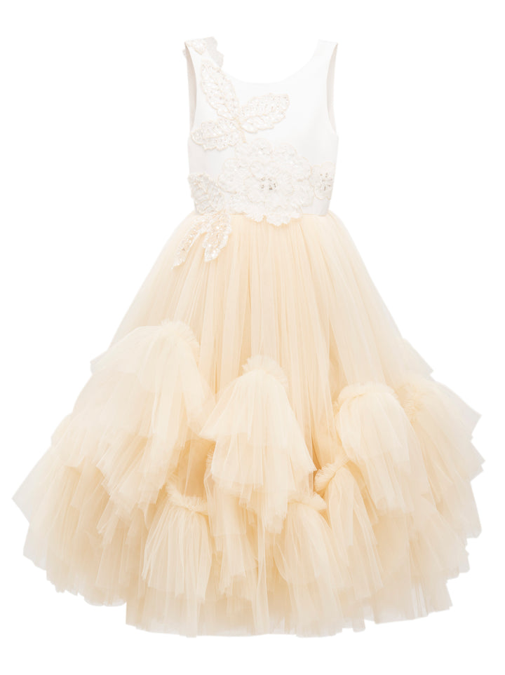 Gold Amber Tulle Dress