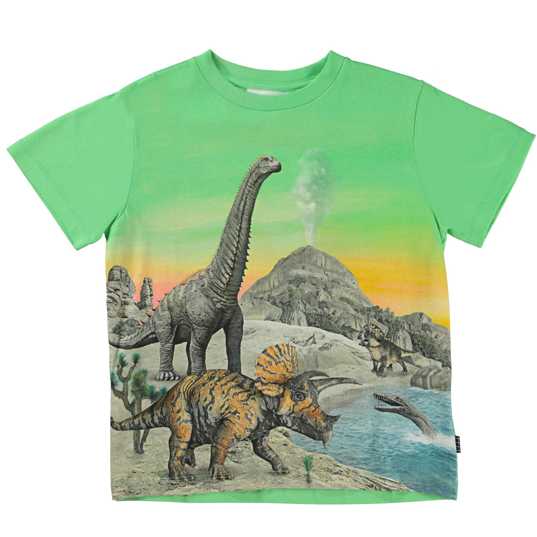 molo-Rame Colourful Dinos T-Shirt-1s23a204-7966