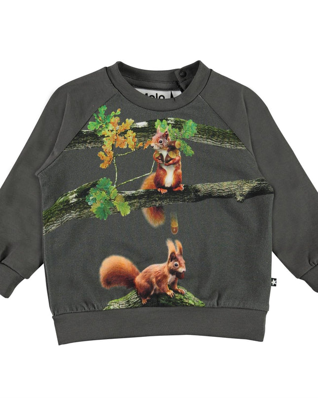 molo-Esco T-Shirt Forest Animals-3w21a408-8354