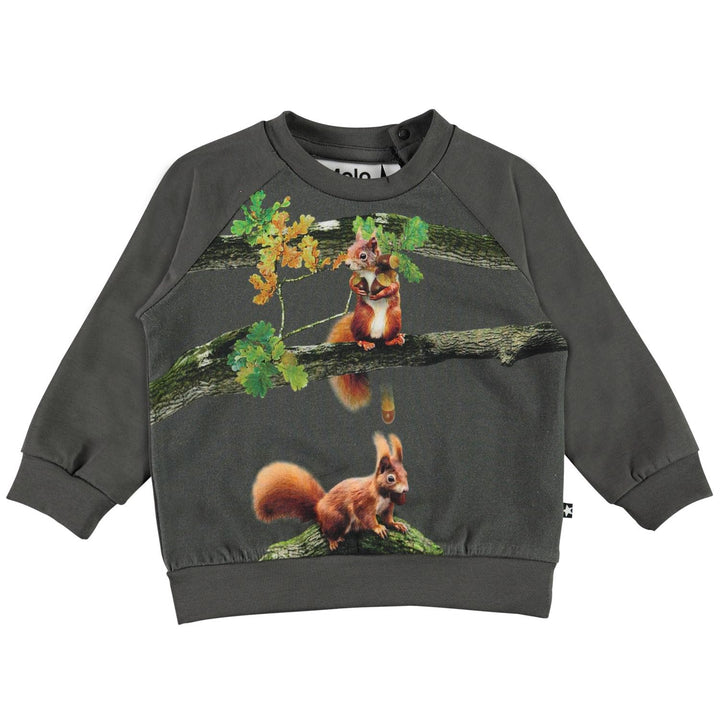 molo-Esco T-Shirt Forest Animals-3w21a408-8354