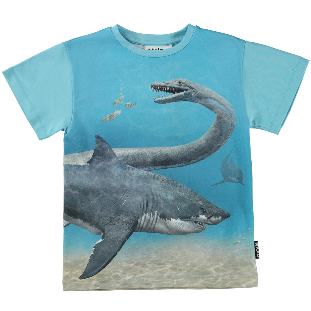 molo-Raveno Ancient Aquatic T-Shirt -1s23a218-3234