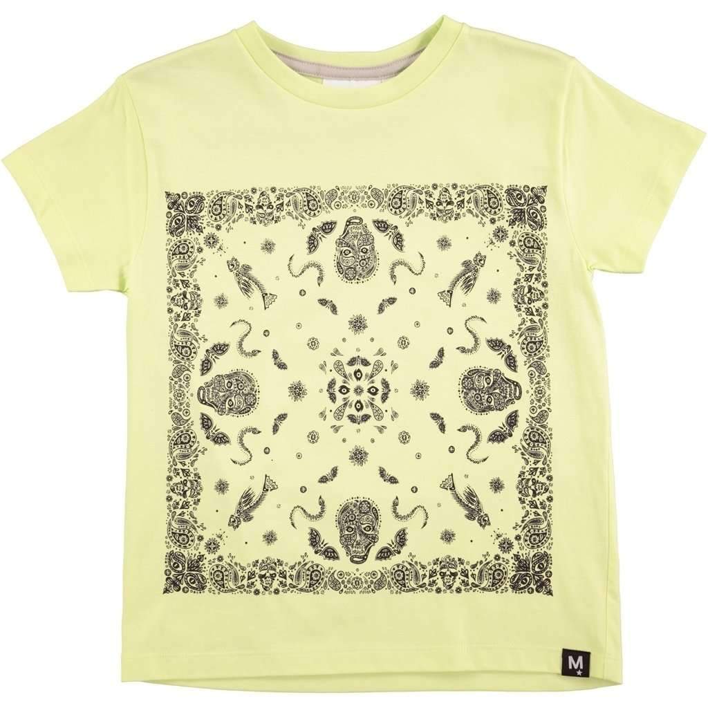 Rexo Cosmic Yellow T-Shirt-Shirts-Molo-kids atelier